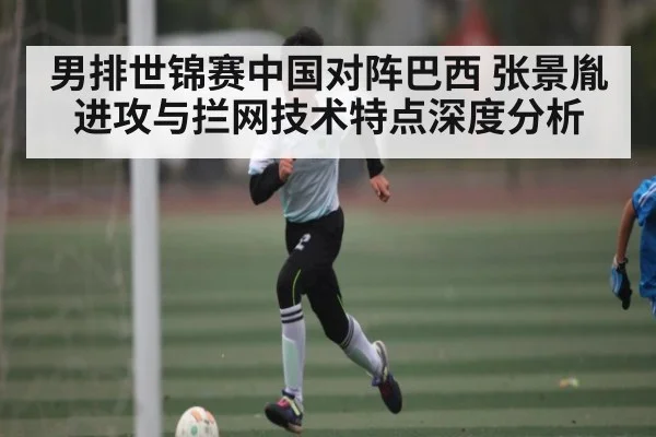 男排世锦赛中国对阵巴西 张景胤进攻与拦网技术特点深度分析